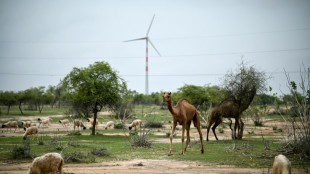 Inde: les éoliennes du désert de Thar bouleversent un mode de vie ancestral