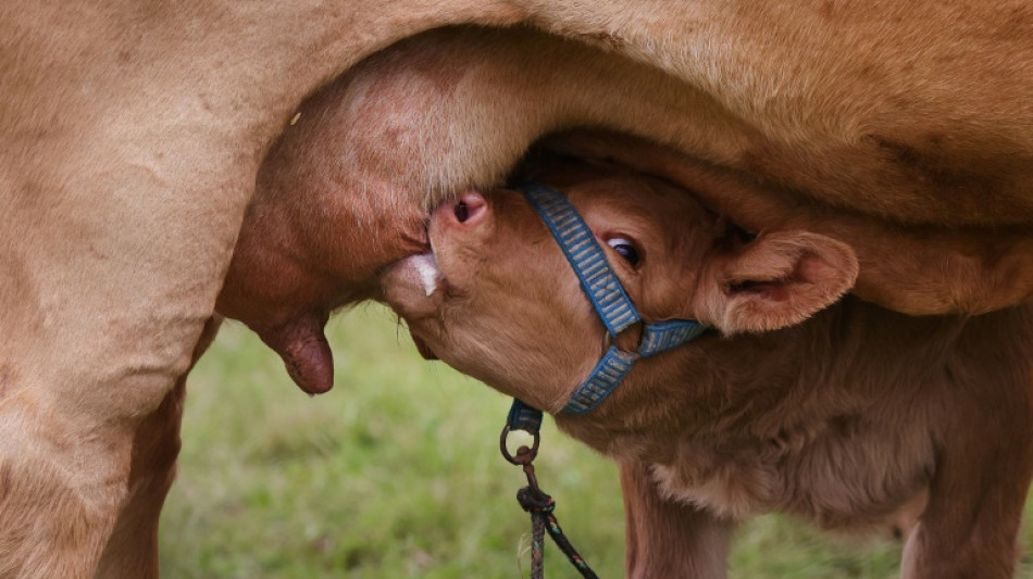 Erzeugerpreise für landwirtschaftliche Produkte deutlich gesunken