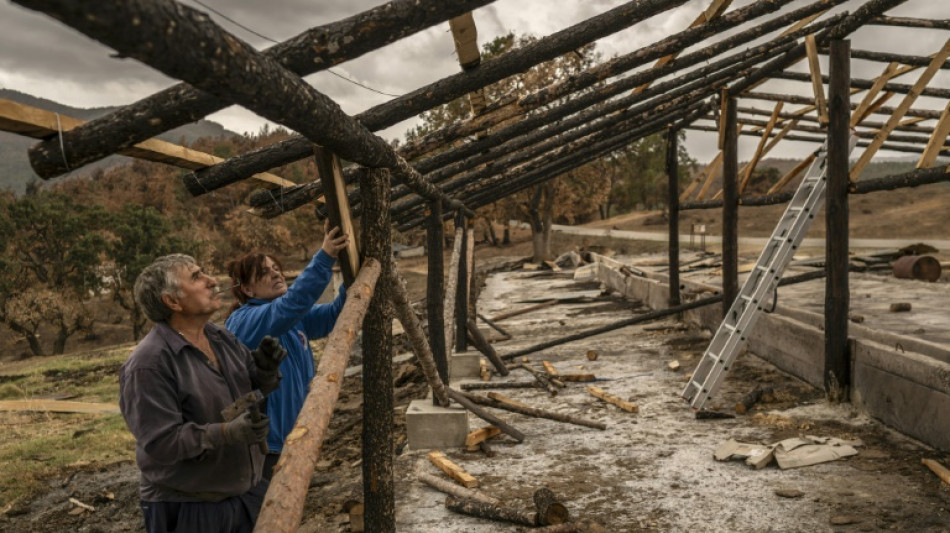 En Grèce, désolation et cri d'alarme dans le parc de Dadia après le mégafeu de l'été