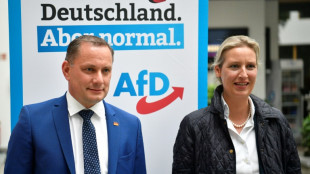 AfD-Parteitag endet mit Beschlüssen zu Russland und Ukraine