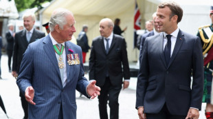 Britain and France look to reset ties with state visit