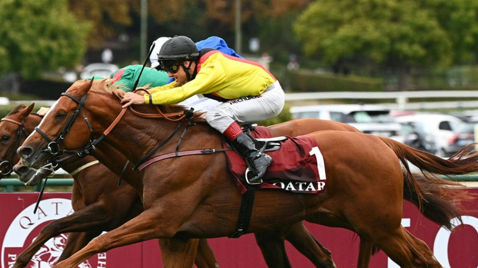 Galopp: Torquator Tasso Dritter im Arc