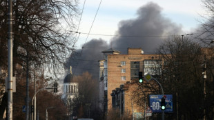 Twelve killed, dozens injured by Russian strikes on Ukraine