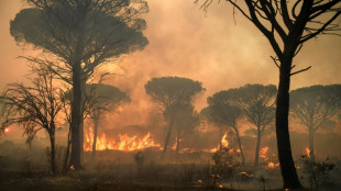 Vaste incendie près de Saint-Tropez en 2021: un suspect mis en examen