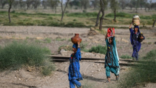 South Asia pummelled by heatwave that hits 50C in Pakistan