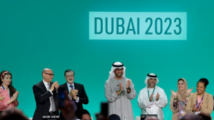 Dubai climate summit adopts world-first 'transition' from fossil fuels