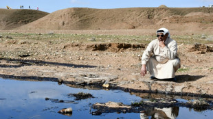 Oil spills pile on pressure for Iraq's farmers