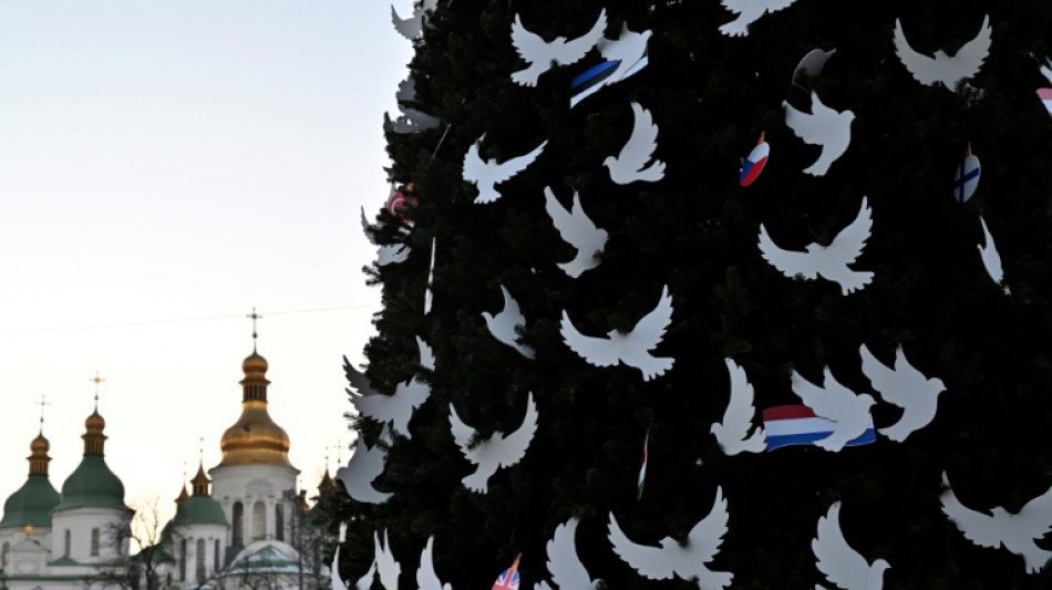 Russia won't 'steal' Christmas: Kyiv mayor unveils festive tree