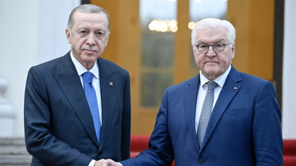 Erdogan on 'difficult' German visit after Israel outbursts