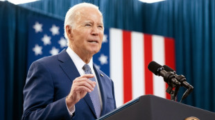 Biden the 'anti-Trump' - winning strategy or no strategy at all?