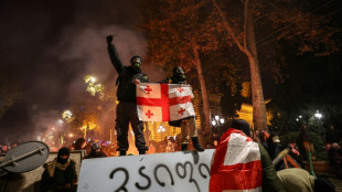 Tens of thousands rally in Georgia as PM rebuffs calls for new election