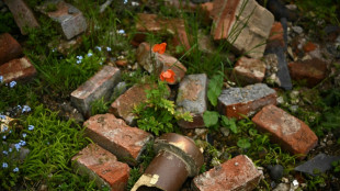 Weeds grow at London's Chelsea Flower Show