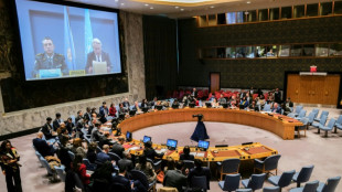 UN Security Council again delays vote on Gaza