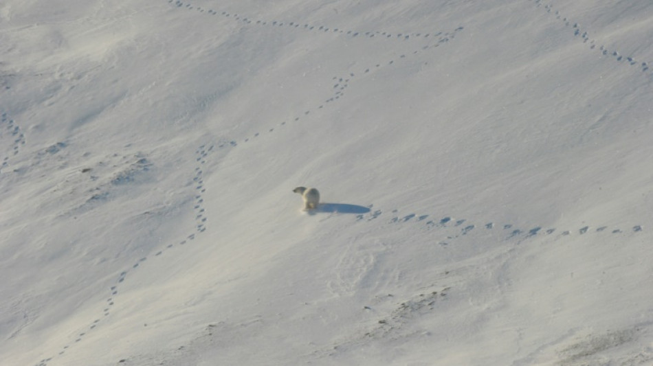 Polarforscher Arved Fuchs hält Aktionen der Letzten Generation für spalterisch