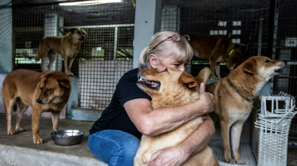 A ruff deal: Hong Kong exodus sparks surge in abandoned pets