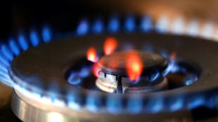 Asthma study sparks debate about safety of cooking with gas