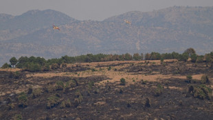 Neglected forests at the mercy of wildfires in Spain, Portugal