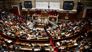 Pouvoir d'achat: l'Assemblée poursuit son marathon après un premier vote au petit matin