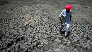 Les problèmes de santé liés au réchauffement climatique continuent d'augmenter