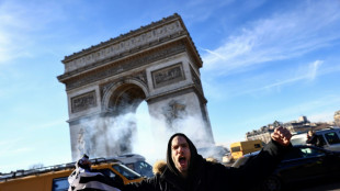 Protestkonvois blockieren in Frankreich, Kanada und den Niederlanden die Straßen