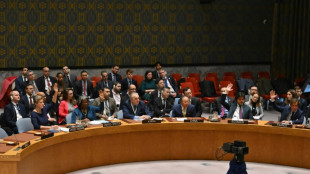 Russia, China veto US bid on Gaza 'ceasefire' at Security Council