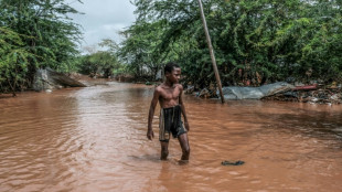 Climate crises drove 27 million into hunger in 2022: charity 