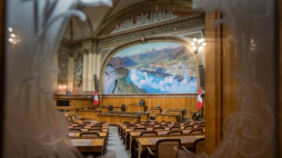 Swiss parliament wants ban on extremist symbols