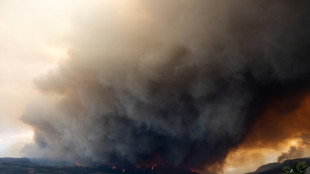 Meta faces backlash over Canada news block as wildfires rage