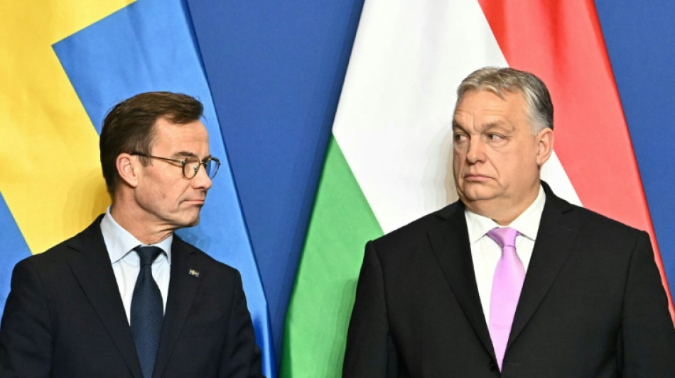 Last holdout Hungary ratifies Swedish NATO bid