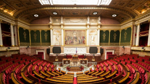 Législatives: la macronie cherche une alternative à la gauche, le RN arrive à l'Assemblée