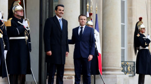 Gaza ceasefire efforts at heart of Qatar emir's France visit