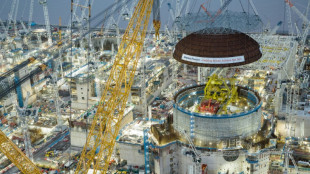 UK's new Hinkley nuclear plant reaches milestone