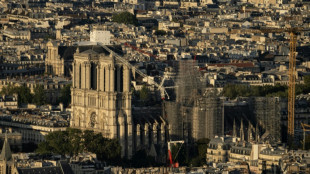 France probes Notre-Dame stained glass sale for theft