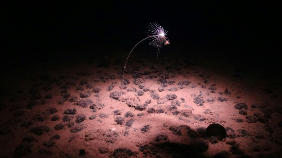 Deep ocean 'dark oxygen' find could rewrite Earth's history