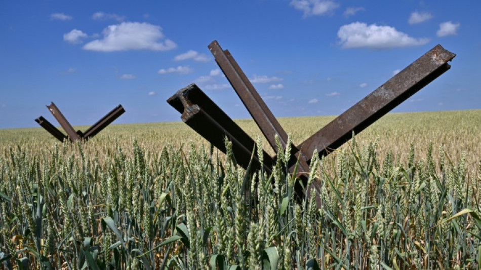 Ukraine's desperate farmers trapped by grain blockade