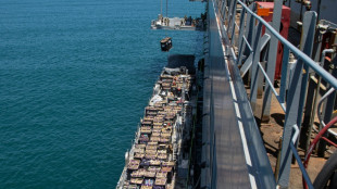 US military says first aid delivered to Gaza via temporary pier