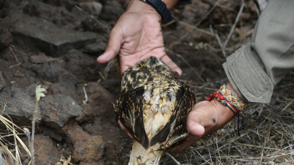 Galápagos invertirá 3,4 millones de dólares para recuperar especies desaparecidas