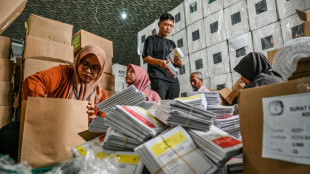 Rebels, horses and cow carts: Indonesia prepares for mega polls