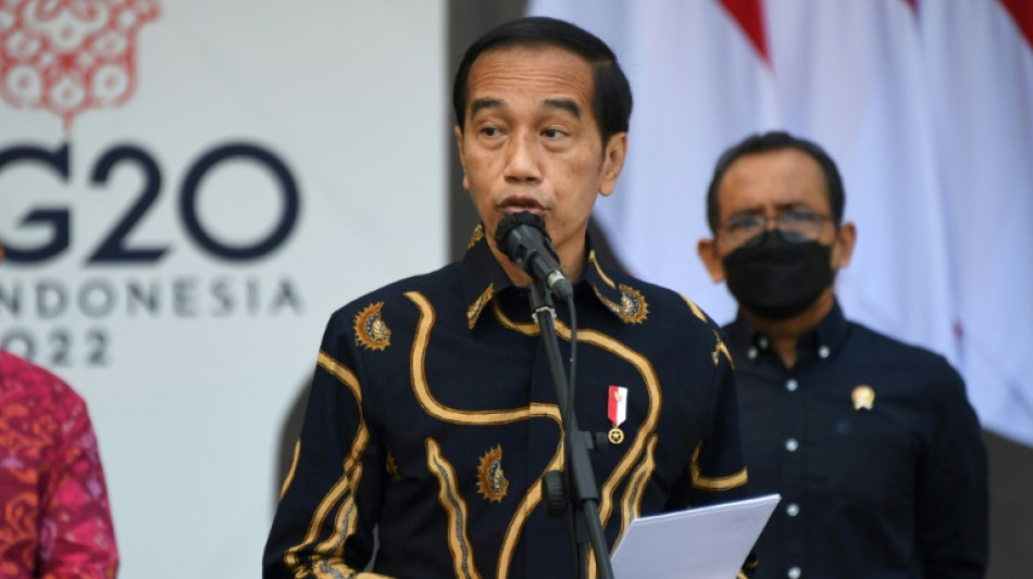 Zelensky, Putin invited to G20 summit: Indonesian leader