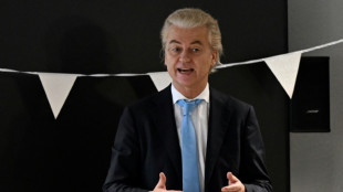 Blow for Wilders as Dutch ruling party snubs cabinet role