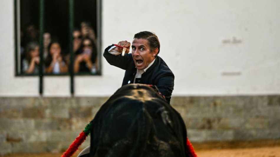 Matar al toro en la corrida, una excepción que perdura en un pueblo portugués