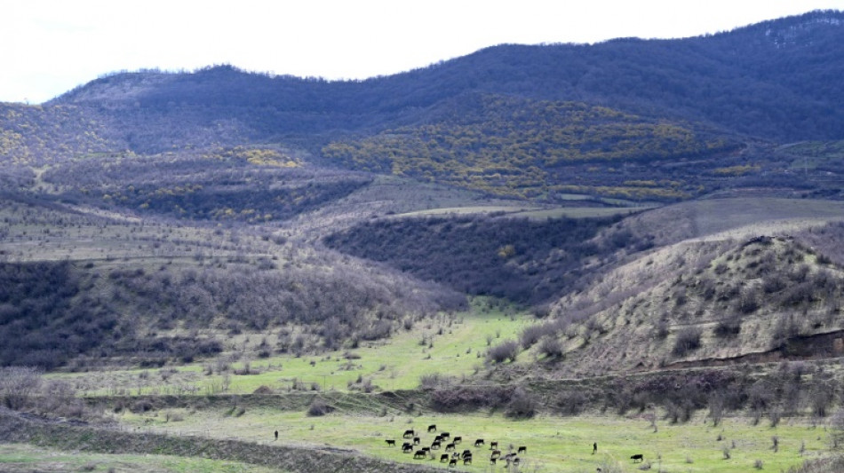 Azerbaijan says 'closer than ever' to Armenia peace deal amid border talks