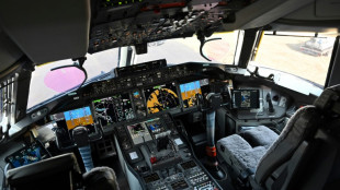 False GPS signal surge makes life hard for pilots