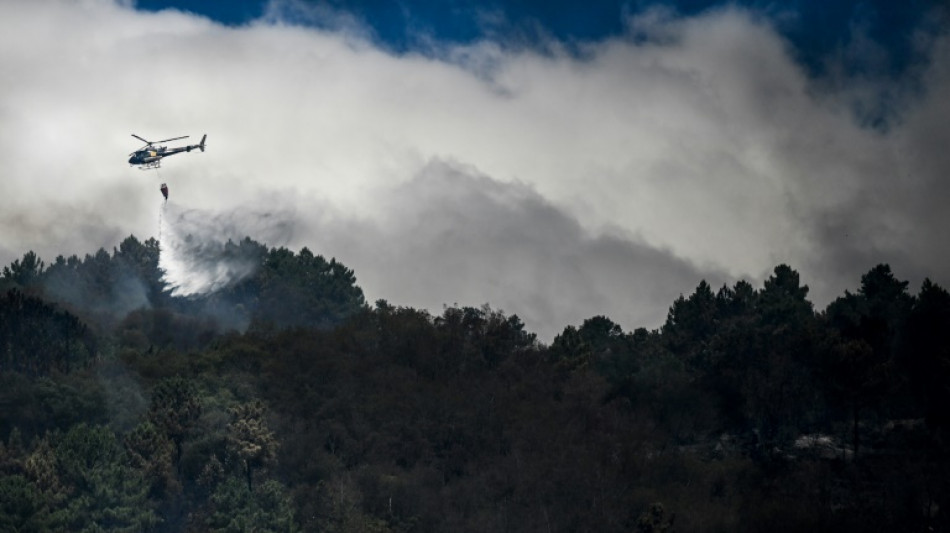 Portugal sigue combatiendo varios incendios forestales pero prevé mejora