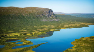 Faster growth may help bacteria remove lake plastic waste: study