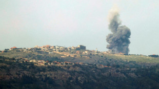 Israeli strike on south Lebanon kills Hezbollah fighter: sources