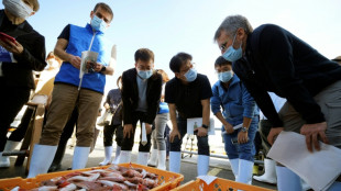 China to 'gradually resume' seafood imports from Japan after Fukushima ban 