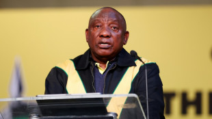 S.African panel named to probe Ramaphosa over farm heist