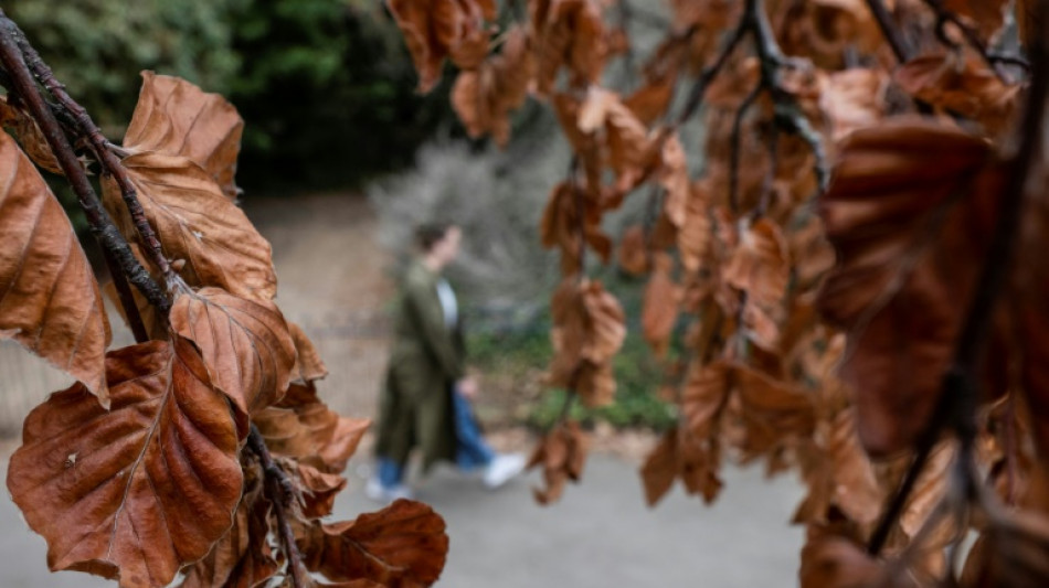 Au Royaume-Uni, chaleur et sécheresse provoquent un "faux automne"