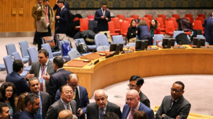 UN Security Council Gaza vote postponed again